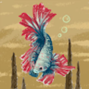 Meet your Posher, Jack